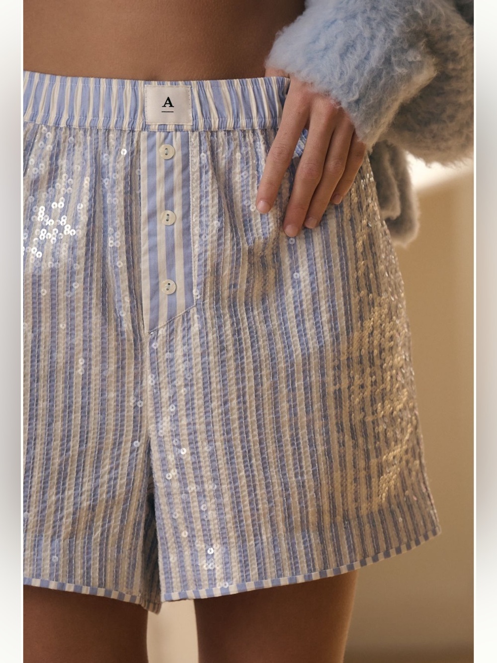 Anthropologie Wren Sequin Striped blue Boxer Short